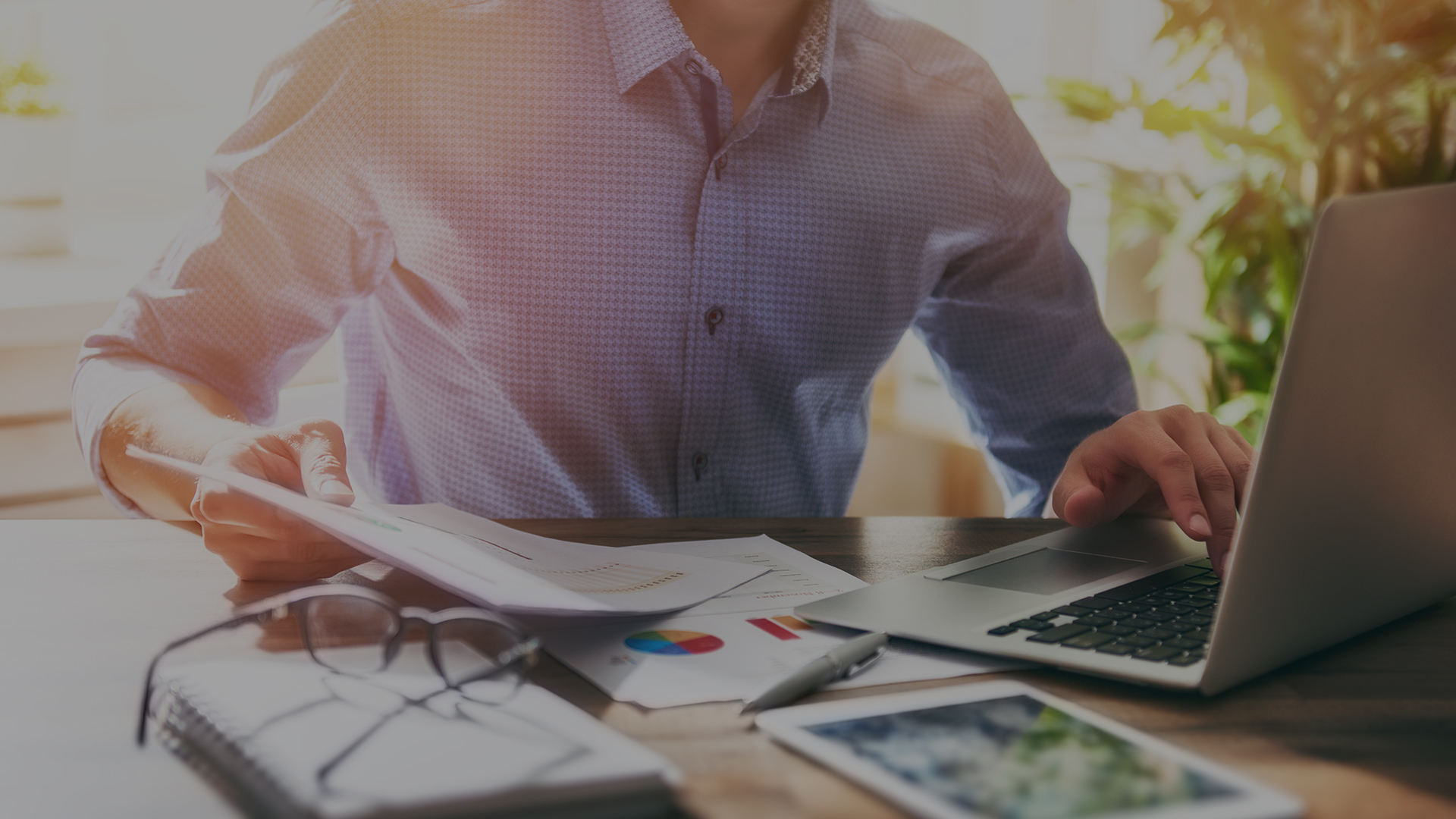 Web Developer Vicenza